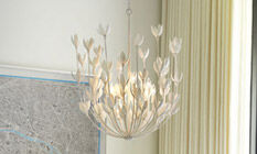 lny-guides-thumb-lightlikenature