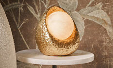 lny-inspirations-thumb-organicshapes