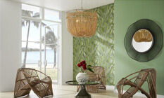 lny-brand-spotlights-thumb-global-ars