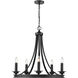 Saldano 27.5 inch 60.00 watt Matte Black Chandelier Ceiling Light