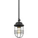 Seaport Pendant Ceiling Light in Matte Black, Damp