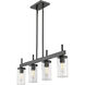 Winslett Island Light Ceiling Light in Matte Black