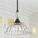 Audra Pendant Ceiling Light in Matte Black