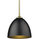 Yep Zoey 1 Light 9 inch Olympic Gold Pendant Ceiling Light in Matte Black, Small