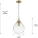 Ariella 1 Light 9.88 inch Brushed Champagne Brass Pendant Ceiling Light in Clear Hammered, Small