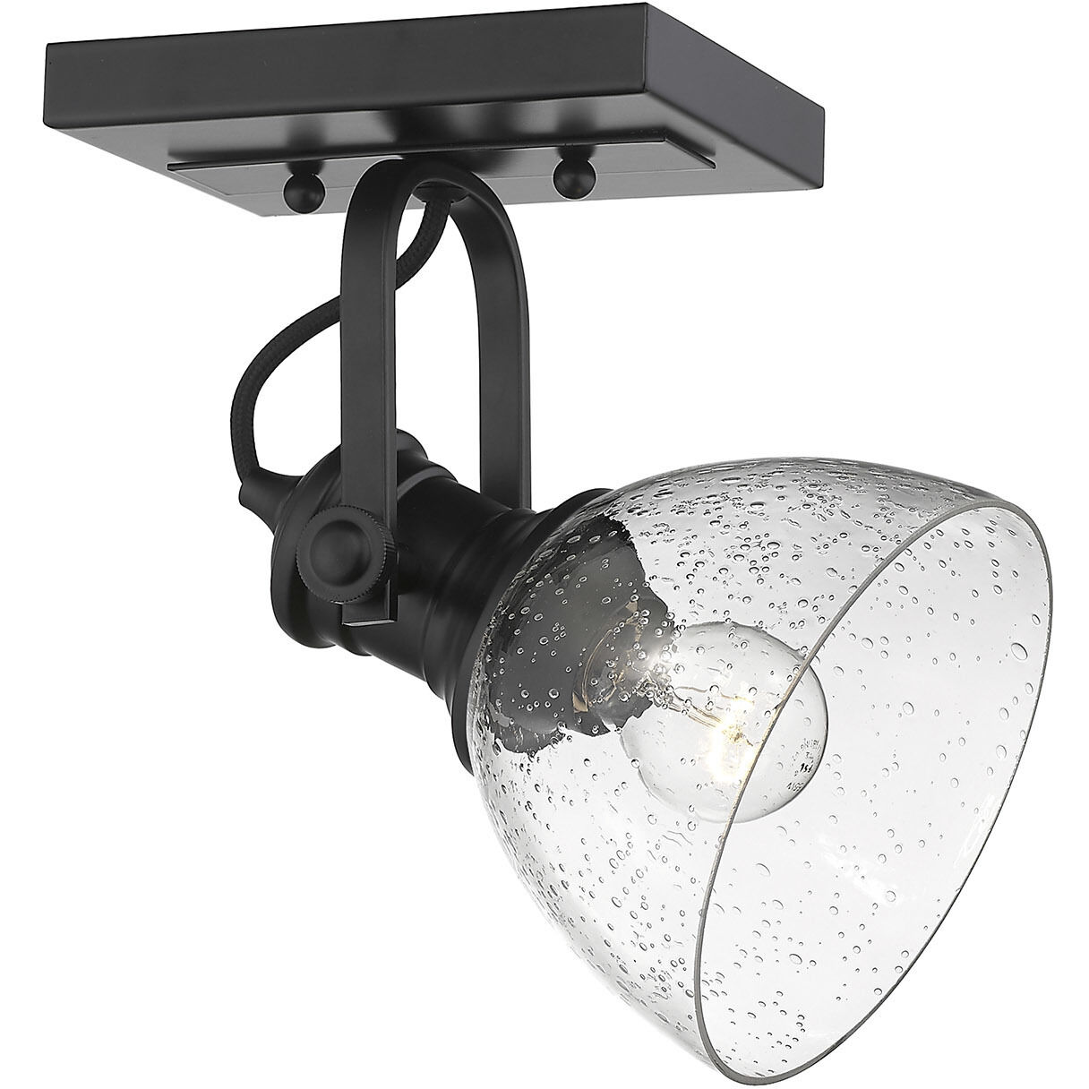 Yep Hines 1 Light 6.88 inch Matte Black Adjustable Semi-Flush Mount Ceiling Light in Seeded Glass, Damp
