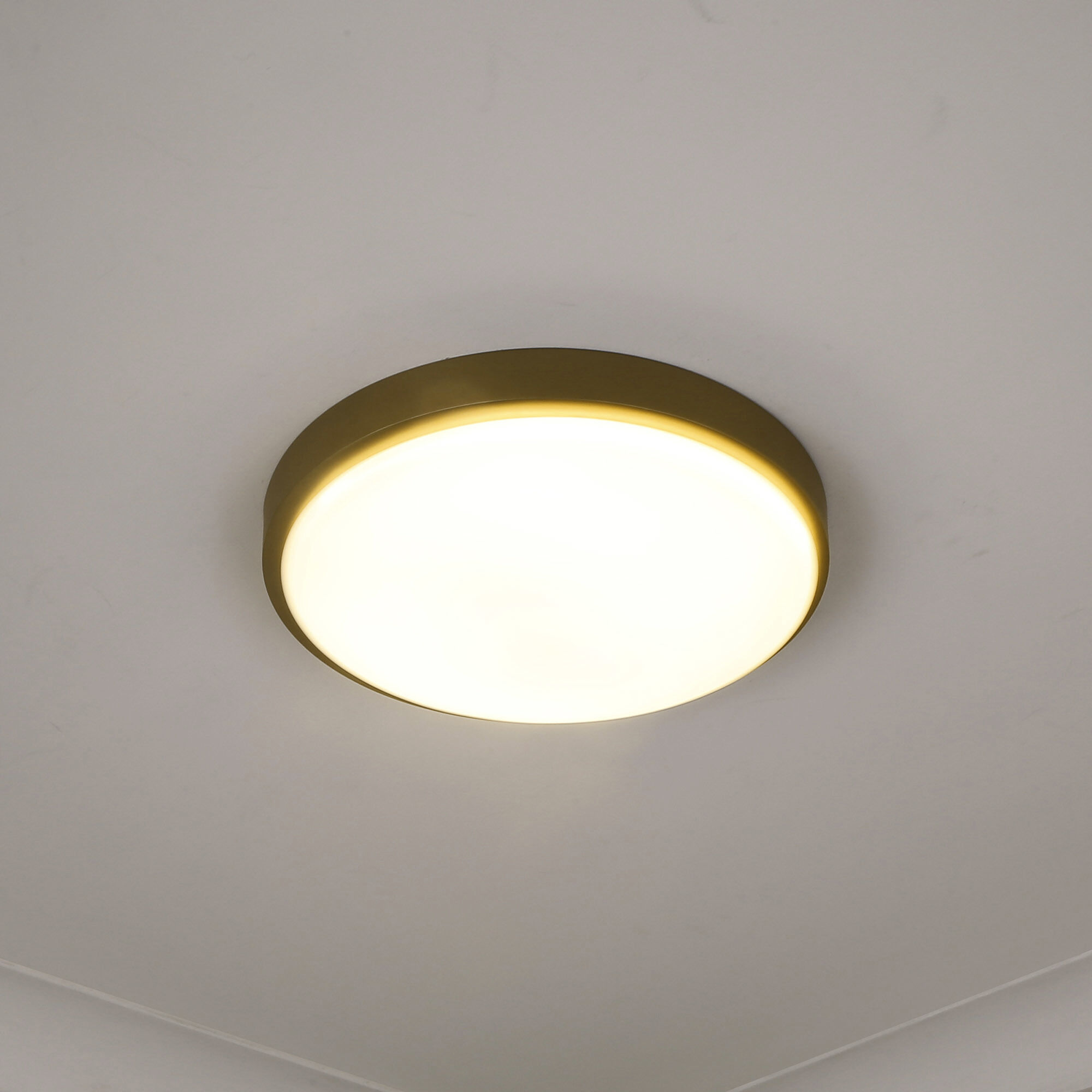 Gabi LED 12.25 inch Brushed Champagne Brass Flush Mount Ceiling Light