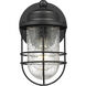 Seaport 1 Light 9 inch Natural Black Outdoor Wall Sconce