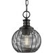Calypso Pendant Ceiling Light