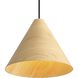 Conique 1 Light 13.00 inch Pendant
