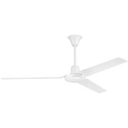Indoor Ceiling Fans