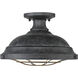 Bartlett 2 Light 14 inch Black Patina Semi-Flush Mount Ceiling Light, Damp