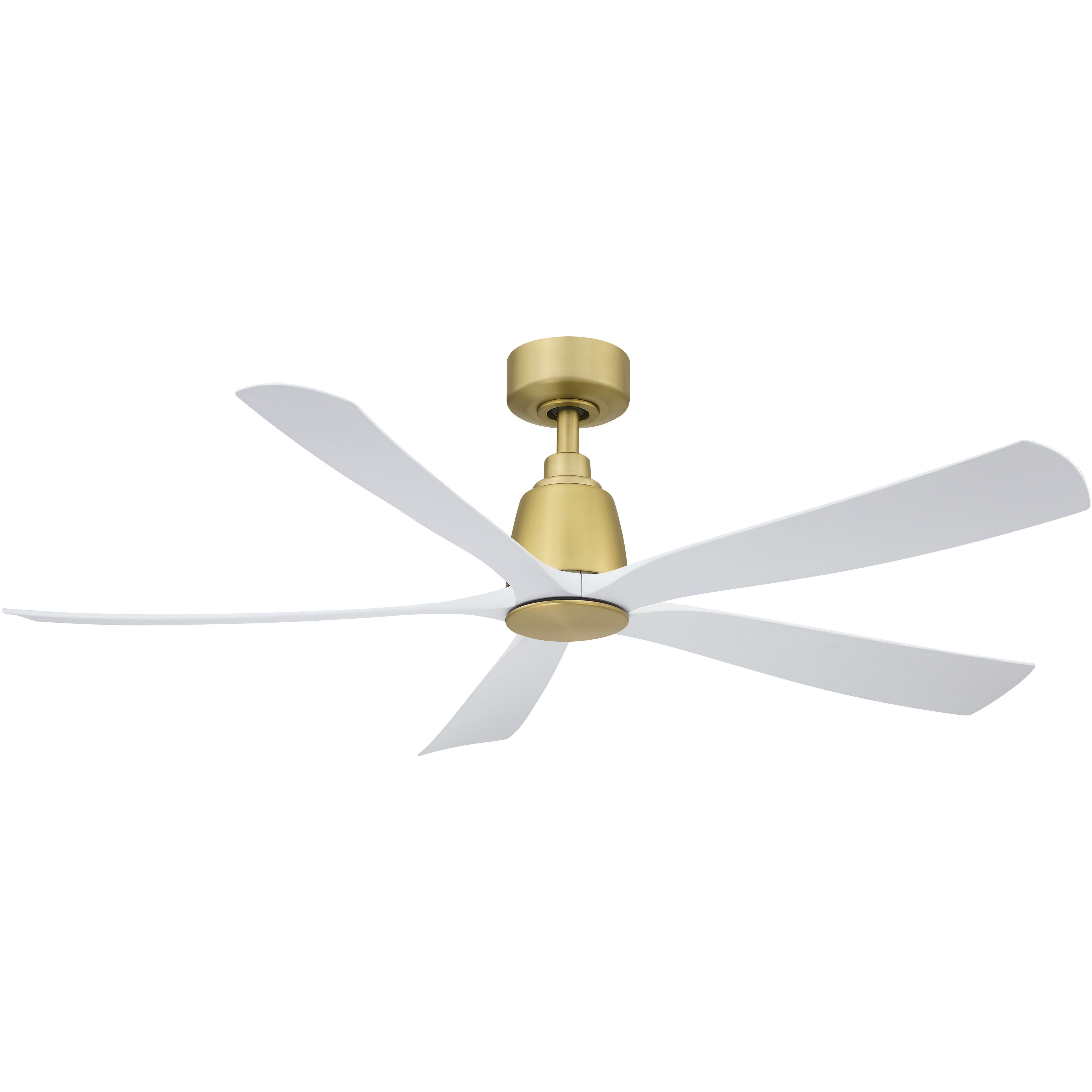 Kute Fan