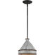 Jasper 1 Light 9.88 inch Antique Black Iron Pendant Ceiling Light