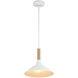 Journey Pendant Ceiling Light in Natural White