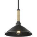 Journey Pendant Ceiling Light in Natural Black