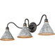 Jasper 3 Light 34 inch Antique Black Iron Vanity Light Wall Light