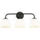 Dorinda 3 Light 24.5 inch Matte Black Vanity Light Wall Light