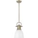Yep Duncan 1 Light 8.88 inch Aged Brass Pendant Ceiling Light in Matte White