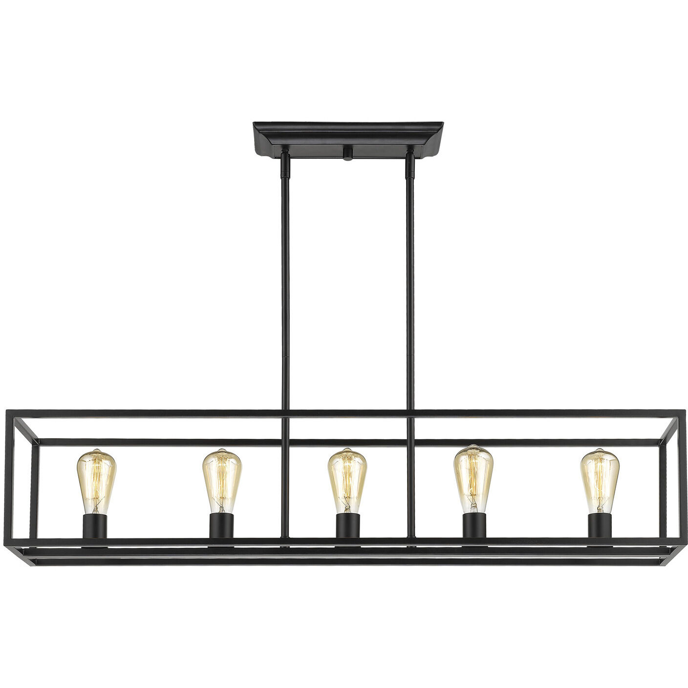 Wesson Island Light Ceiling Light in Matte Black