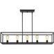 Wesson Island Light Ceiling Light in Matte Black