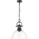 Yep Duncan Pendant Ceiling Light in Matte Black, Clear Glass