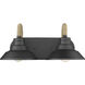Journey Vanity Wall Light in Natural Black