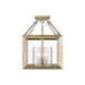 Smyth 3 Light 12 inch White Gold Semi-flush Ceiling Light in Clear Glass, Convertible
