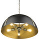 Aldrich Pendant Ceiling Light in Aged Brass, Matte Black
