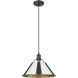 Yep Orwell 1 Light 14 inch Matte Black Pendant Ceiling Light in Chrome, Large