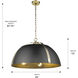 Aldrich 5 Light 25 inch Aged Brass Pendant Ceiling Light in Matte Black