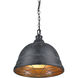 Bartlett 2 Light 16.5 inch Black Patina Pendant Ceiling Light, Large
