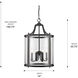 Payton Pendant Ceiling Light in Matte Black, Caged