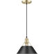 Orwell 1 Light 10 inch Brushed Champagne Bronze Pendant Ceiling Light in Matte Black