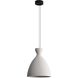 Aethera 1 Light 14.00 inch Pendant