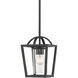 Mercer Pendant Ceiling Light in Matte Black