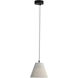 Clarus 1 Light 10.00 inch Pendant
