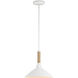 Journey 1 Light 12 inch Natural White Pendant Ceiling Light