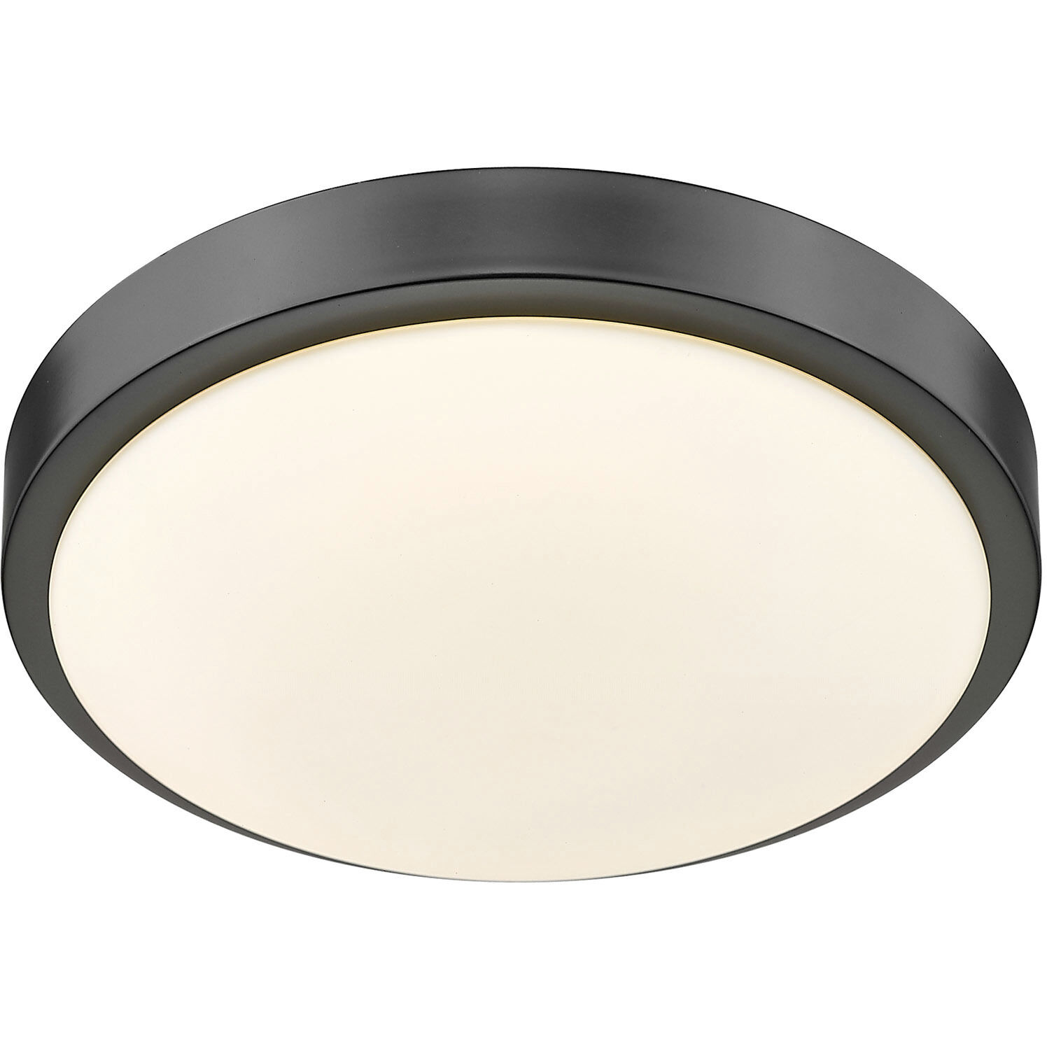 Gabi LED 10 inch Matte Black Flush Mount Ceiling Light