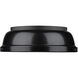 Duncan 2 Light 14 inch Matte Black Flush Mount Ceiling Light, Damp