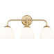 Dorinda 3 Light 24.5 inch Brushed Champagne Bronze Vanity Light Wall Light
