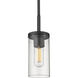 Winslett Pendant Ceiling Light in Matte Black, Damp
