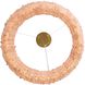Ziva Corallo 21.63 inch 50.00 watt Coral Chandelier Ceiling Light