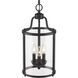 Payton 3 Light 9 inch Matte Black Pendant Ceiling Light, Caged