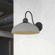 Yep Levitt 1 Light 17.88 inch Natural Black Outdoor Wall in Natural Gray