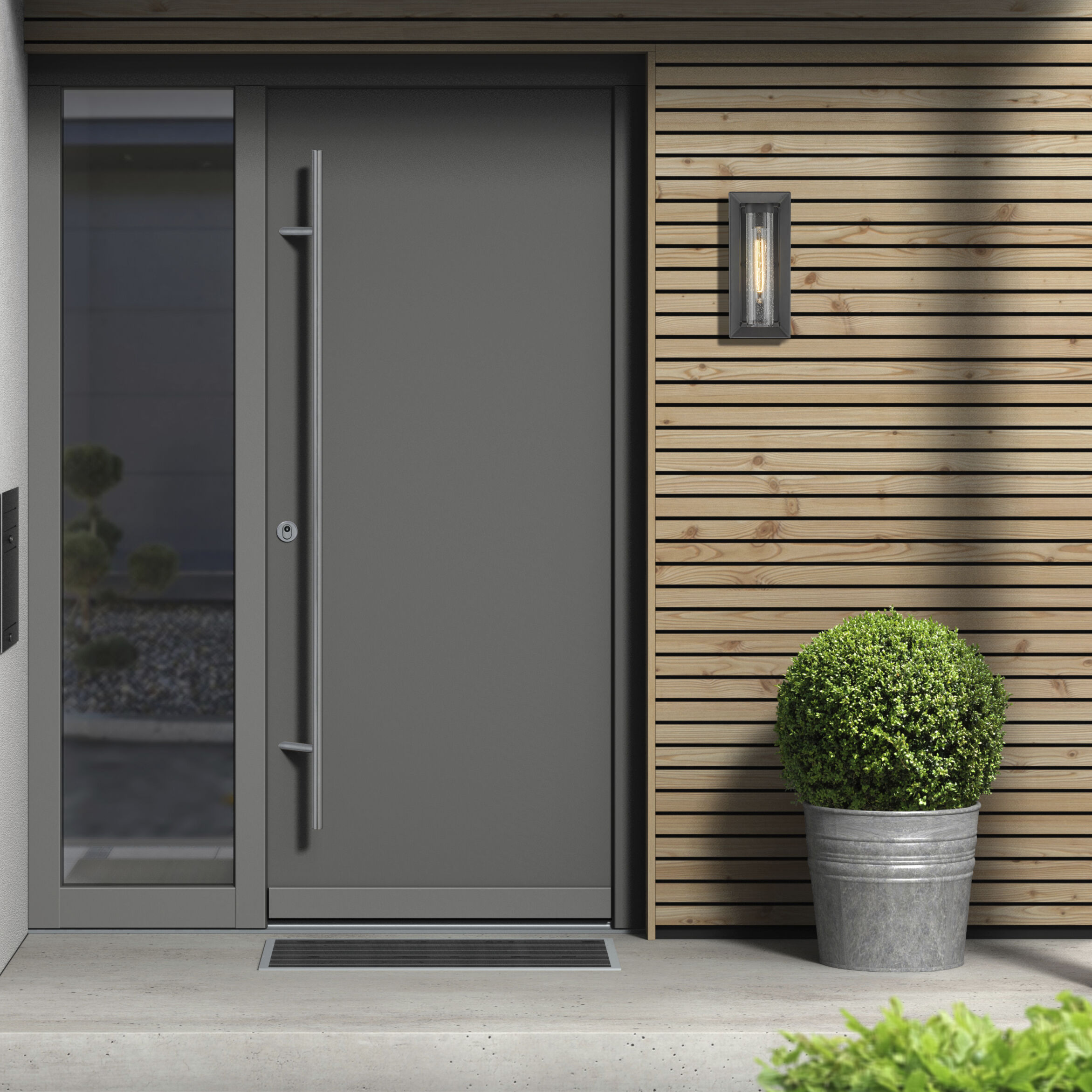 Smyth 1 Light 14 inch Natural Black Outdoor Wall in Seeded Glass