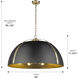 Aldrich 8 Light 30 inch Aged Brass Pendant Ceiling Light in Matte Black