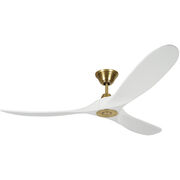 Indoor Ceiling Fans
