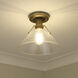 Yep Orwell 1 Light 10 inch Brushed Champagne Brass Flush Mount Ceiling Light in Clear Glass
