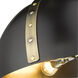 Aldrich 3 Light 18 inch Aged Brass Pendant Ceiling Light in Matte Black